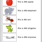 Phonics Kit