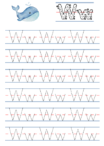 Everything Alphabets - Image 4