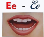 Everything Alphabets - Image 9