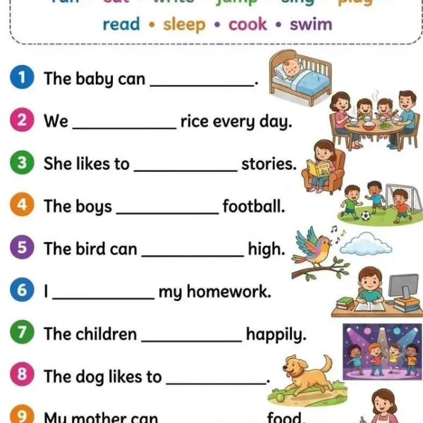 Reading Comprehension