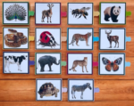 Animal Skin Pattern Matching Puzzle. - Image 3