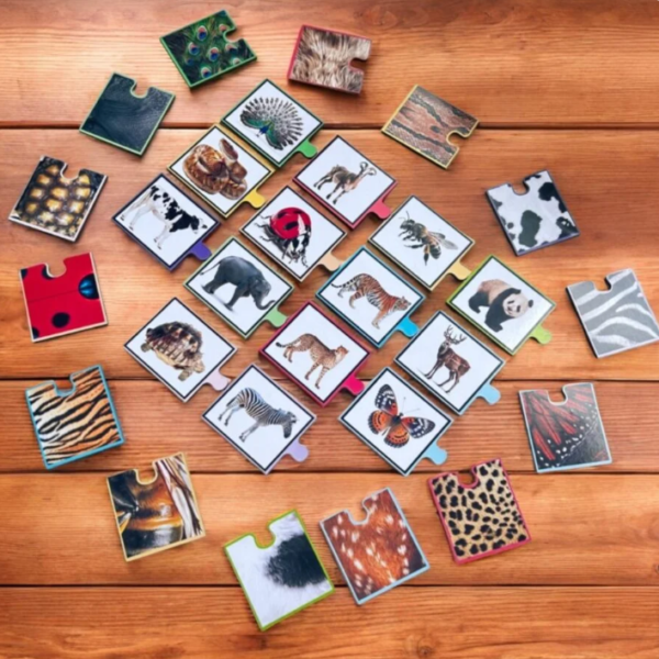 Animal Skin Pattern Matching Puzzle.